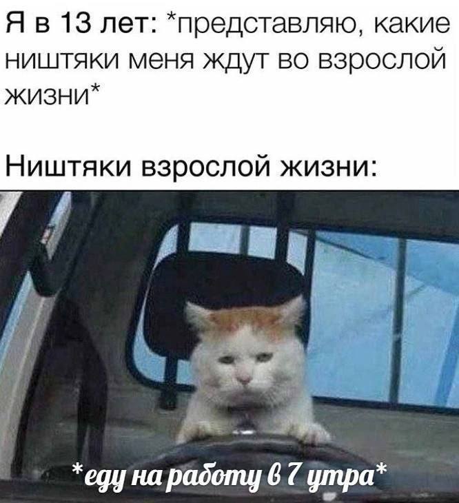 Я в 13 лет: *представляю, какие ништяки меня ждут во взрослой Ништяки взрослой жизни: 4 1 egy на padomy 6 7 утра
