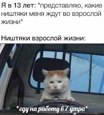Я в 13 лет: *представляю, какие ништяки меня ждут во взрослой Ништяки взрослой жизни: 4 1 egy на padomy 6 7 утра