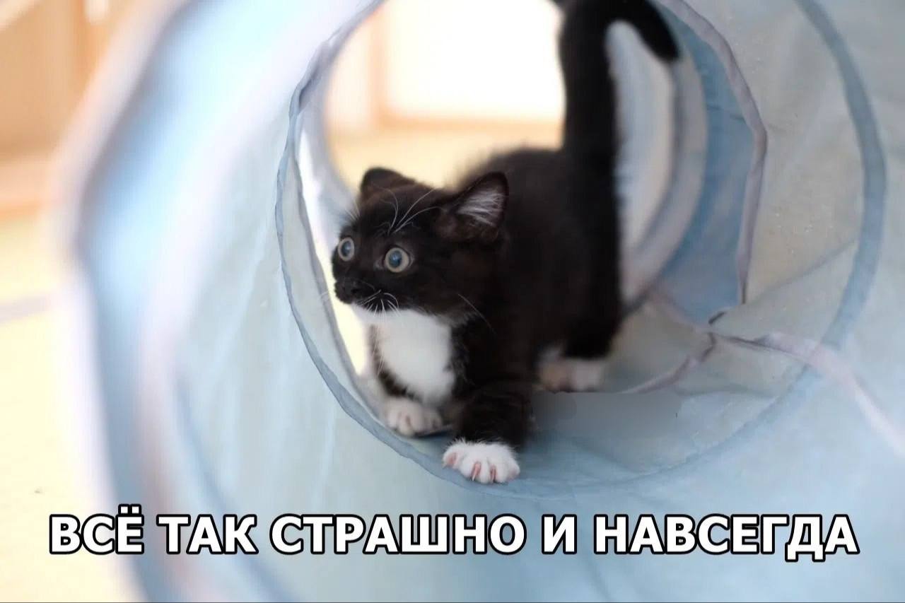 И