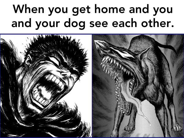 🖤🖤🖤🌸🐾👁🦋