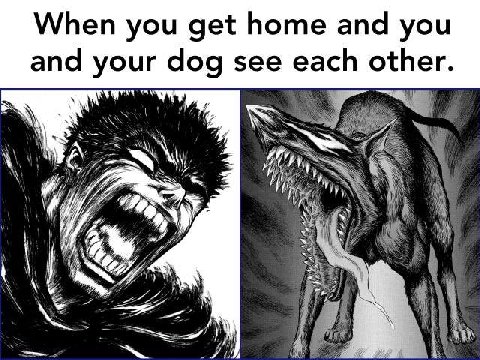 🖤🖤🖤🌸🐾👁🦋