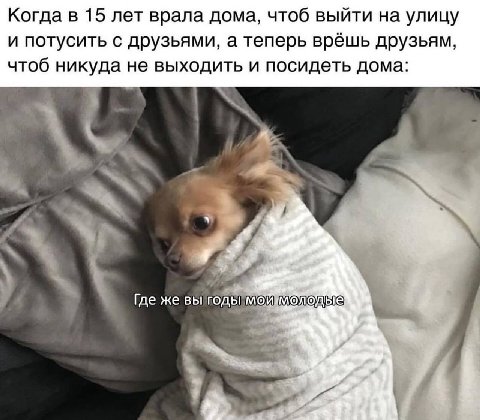 Когда в 15 лет врала дома, чтоб выйти на улицу и потусить с друзьями, а теперь врёшь друзьям, чтоб никуда не выходить и посидеть дома: A 4 Где же вы vont МОЙ