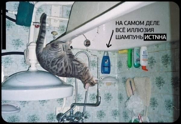 НА САМОМ ДЕЛЕ ВСЁ ИЛЛЮЗИЯ ACTNHA и A 9