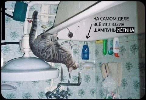 НА САМОМ ДЕЛЕ ВСЁ ИЛЛЮЗИЯ ACTNHA и A 9