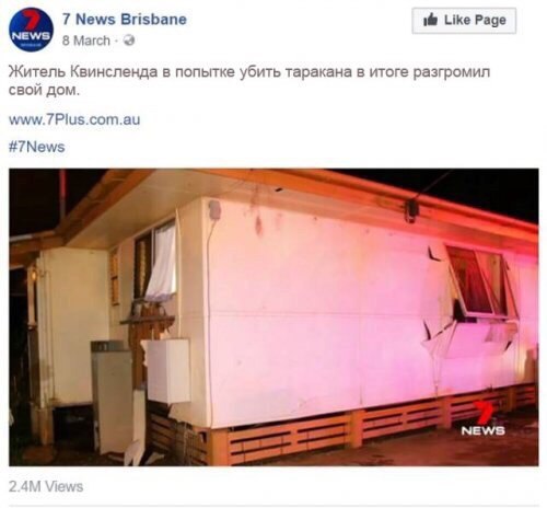 когда впервые за полгода добрался до уборки сычевальни