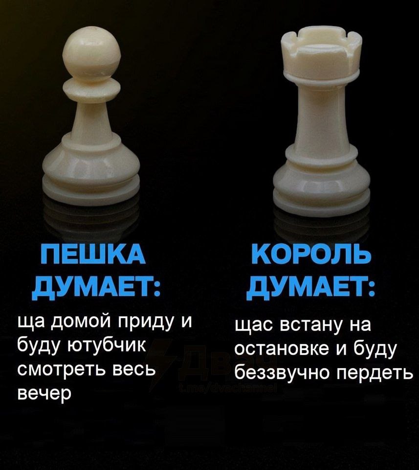 ПЕШКА КОРОЛЬ ДУМАЕТ: ДУМАЕТ: домой приду и щас встану на буду ютубчик остановке и буду смотреть весь беззвучно пердеть вечер