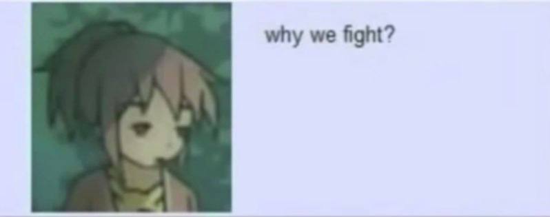 why we fight?