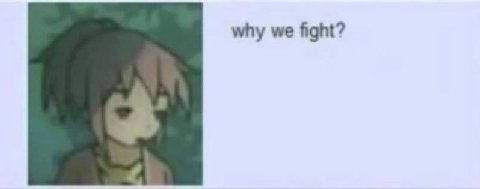 why we fight?