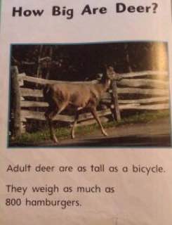 7 deer are as tall as а They weigh as much as 800 hamburgers.