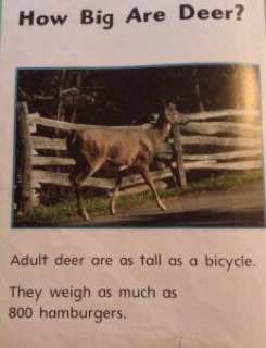7 deer are as tall as а They weigh as much as 800 hamburgers.