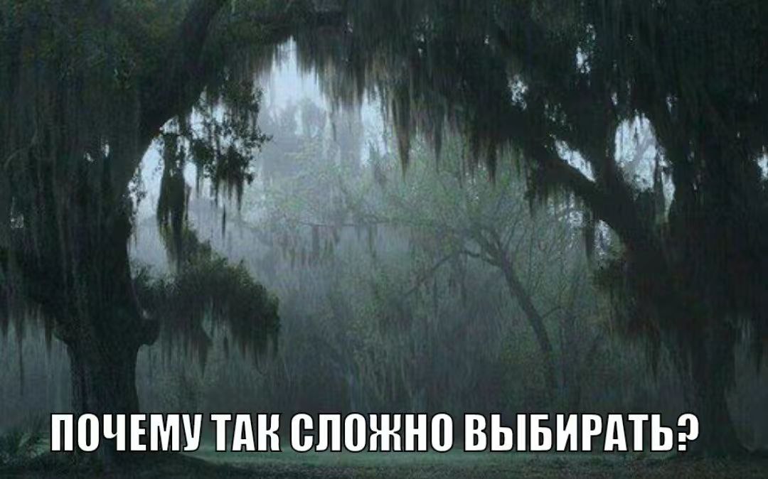 4 ПОЧЕМУ ТАК СЛОЖНО ВЫБИРАТЬ?