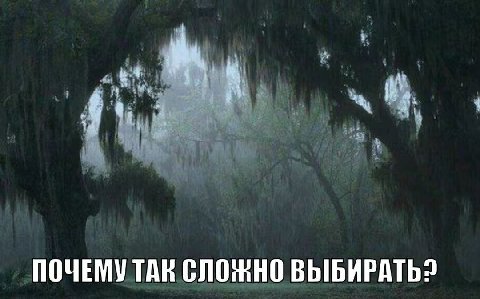 4 ПОЧЕМУ ТАК СЛОЖНО ВЫБИРАТЬ?