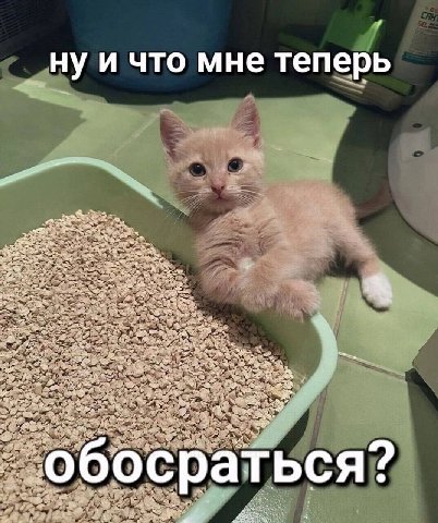 нуи что мне теперь A: А