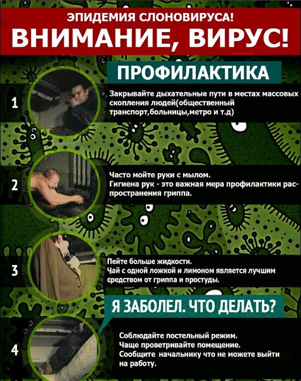 ЭПИДЕМИЯ СЛОНОВИРУСА! ВНИМАНИЕ, ВИРУС! ПРОФИЛАКТИКА Закрывайте дыхательные пути в местах массовых скопления людей(общественный транспорт,больницы, метро ит.д) Часто мойте руки с мылом. Гигиена рук это