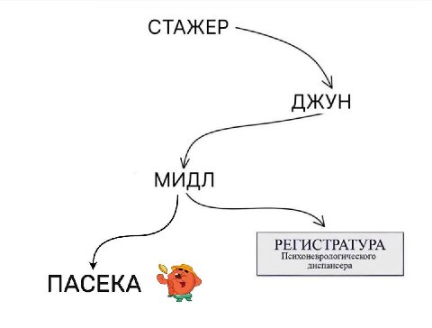 СТАЖЕР ДЖУН РЕГИСТРАТУРА Психоневрологического ПАСЕКА
