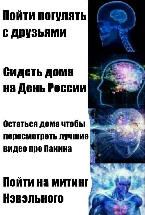 Пойти погулять с друзьями сидеть дома №9 4 на День России Остаться дома чтобы пересмотреть лучшие видео про Панина 4 Пойти на митинг Нэвэльного