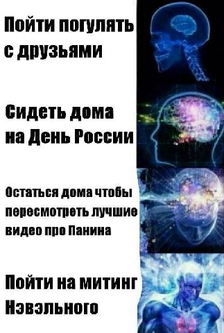 Пойти погулять с друзьями сидеть дома №9 4 на День России Остаться дома чтобы пересмотреть лучшие видео про Панина 4 Пойти на митинг Нэвэльного