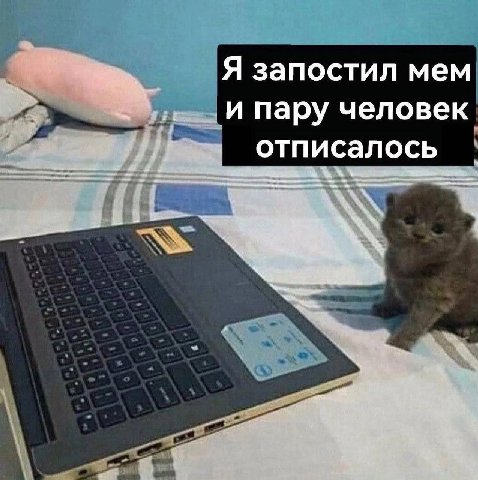 Я запостил мем .И пару человек wag отписалось aki