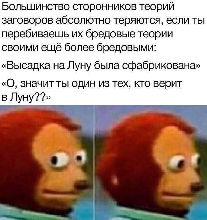 Большинство сторонников теорий заговоров абсолютно теряются, если ты перебиваешь бредовые теории своими ещё более бредовыми: «Высадка на Луну была сфабрикована» «О, значит ты один из тех, кто верит в