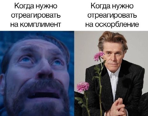 Когда нужно Когда нужно отреагировать отреагировать на комплимент на оскорбление