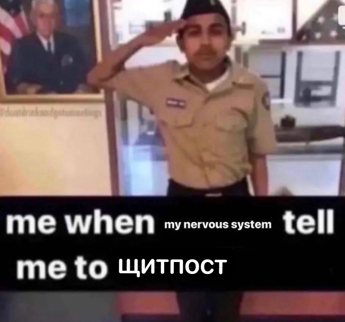 my nervous system me to щитпост