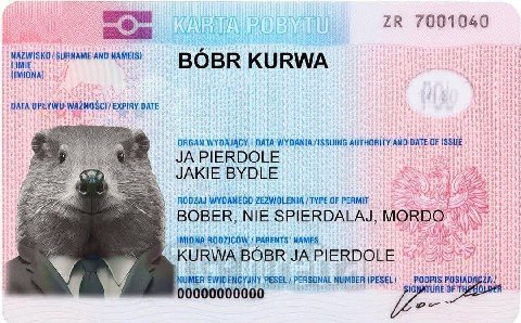 7001040 NAME(S) ВОВК KURWA it EXPIRY DATE ORGAN DATA WYDANIA /ISSUING AUTHORITY AND DATE OF ISSUE JAPIERDOLE JAKIE BYDLE WYDANEGO ZEZWOLENIA /TYPE OF PERMIT BOBER, SPIERDALAJ, MORDO ROOZICOW PARENTS' 