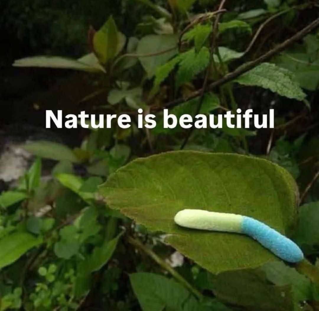 Nature is beautiful