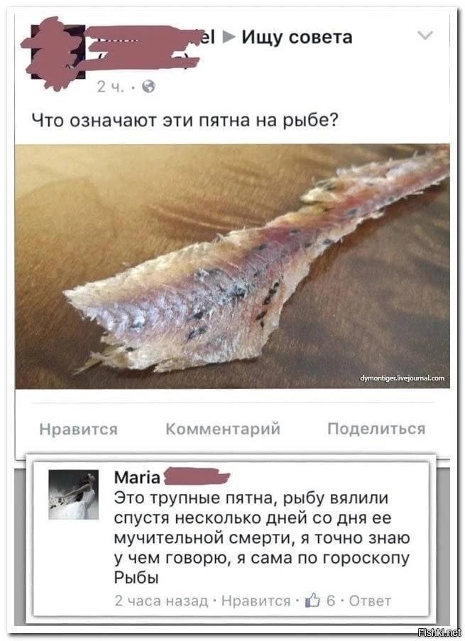 Ищу совета Что означают эти пятна на рыбе? 7% Поделиться Нравится Комментарий Maria Это трупные пятна, рыбу вялили спустя несколько дней дня ее мучительной смерти, я точно знаю у чем говорю, я сама по