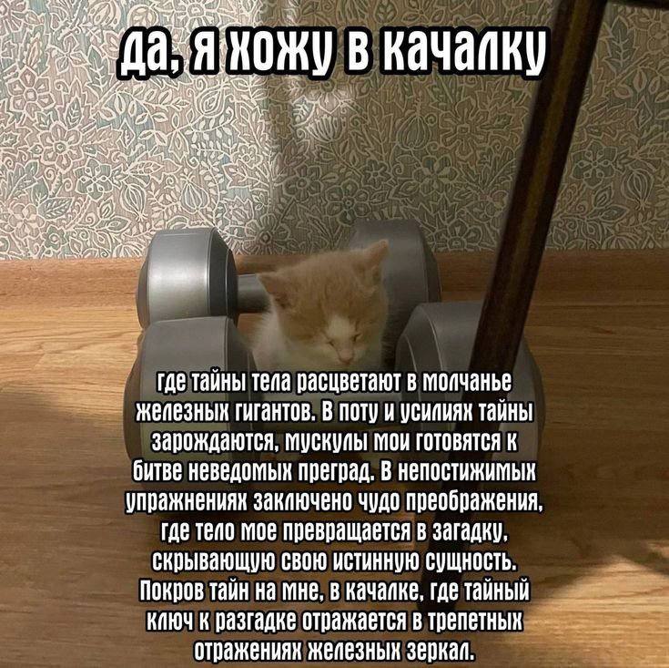 4 в качаику у тайны тела расцветают в моичанье гигантов. В поту и усилиях тайны зарождаются, мои готовятся к битве неведомых преград. в упражненияк закаючено чудо преображения, тепо мое превращается в