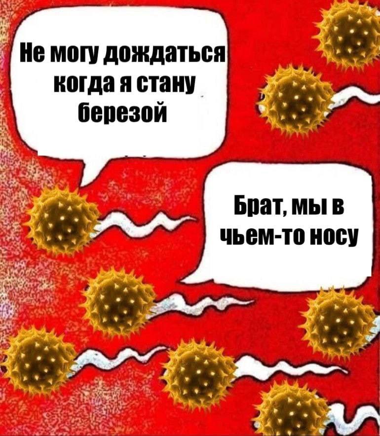 "а 4 7 когда я стану березой 4 A Брат, мы В чьем-то носу 4 я A у onl A У 4 у 44 у,. 4%
