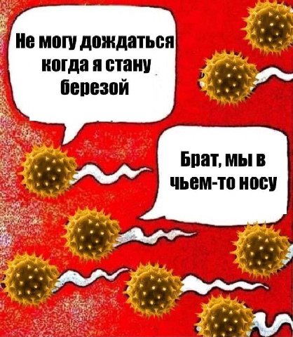 "а 4 7 когда я стану березой 4 A Брат, мы В чьем-то носу 4 я A у onl A У 4 у 44 у,. 4%