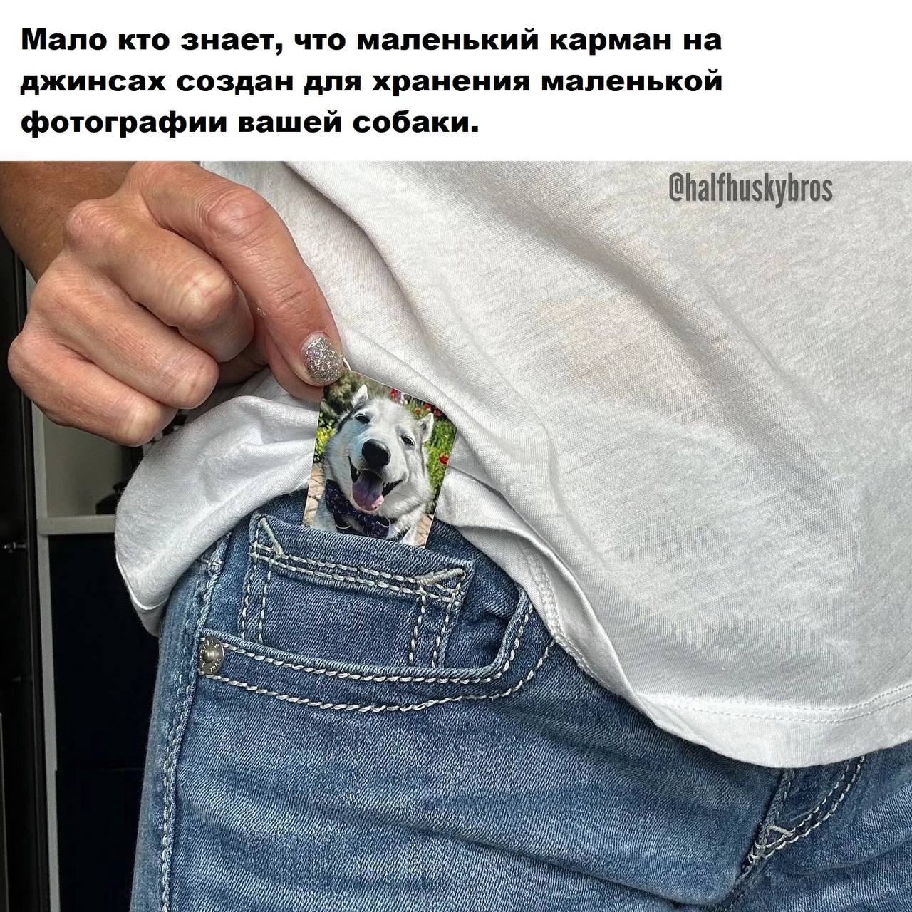 Мало кто знает, что маленький карман на джинсах создан для хранения маленькой фотографии вашей собаки. “a 1 A i i