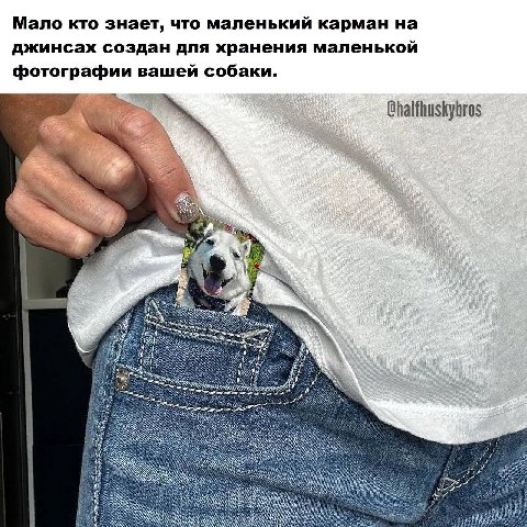 Мало кто знает, что маленький карман на джинсах создан для хранения маленькой фотографии вашей собаки. “a 1 A i i