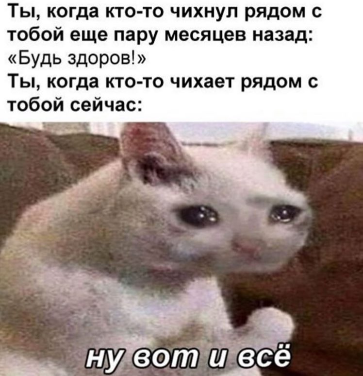 Ты, когда кто-то чихнул рядом с тобой еще пару месяцев назад: «Будь здоров!» Ты, когда кто-то чихает рядом с тобой сейчас: 4 4