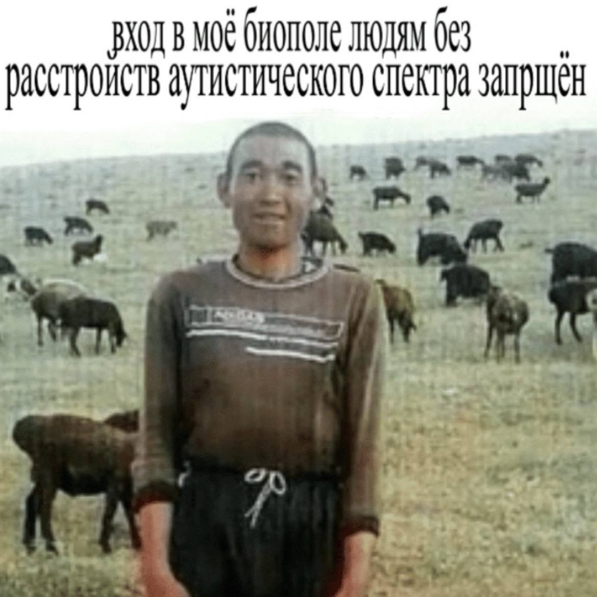 MOE биополе расстроиств аутистического спектра
