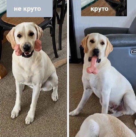 некруто круто 4 4 у i a a у