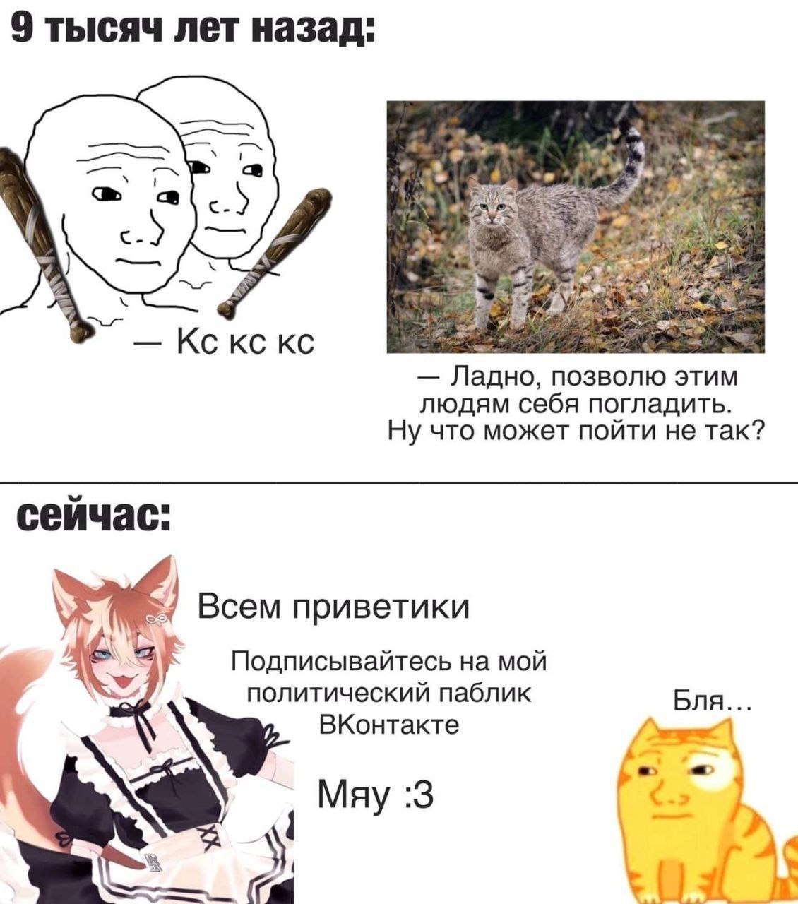 9 тысяч лет назад: 3 Ладно, позволю этим людям себя погладить. Ну что может пойти не так? сейчас: Всем приветики Подписывайтесь на мой политический паблик Бля. ВКонтакте Мяу :3 a Lad