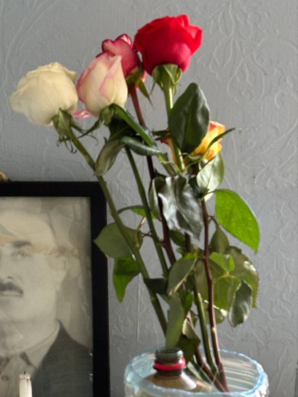 вот цветы
их ей подарил ее молодой человек
а я забрала! потому что ребята один хуй уезжают сегодня (уже не хнычу)
