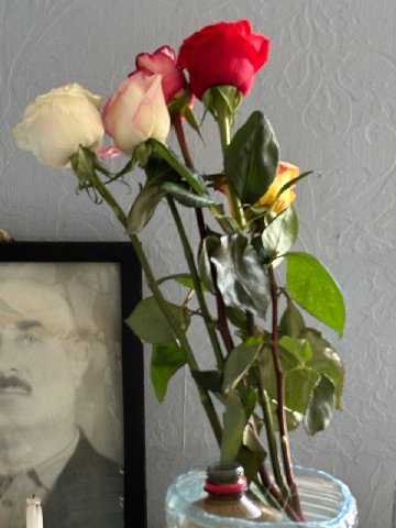 вот цветы
их ей подарил ее молодой человек
а я забрала! потому что ребята один хуй уезжают сегодня (уже не хнычу)
