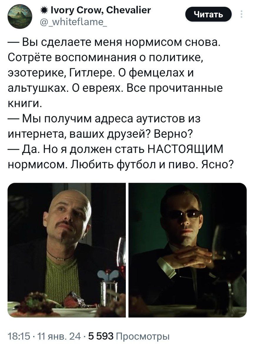 Ivory Crow, Chevalier Вы сделаете меня нормисом снова. воспоминания о политике, эзотерике, Гитлере. О фемцелах и альтушках. О евреях. Все прочитанные КНИГИ. Мы получим адреса аутистов из интернета, ва