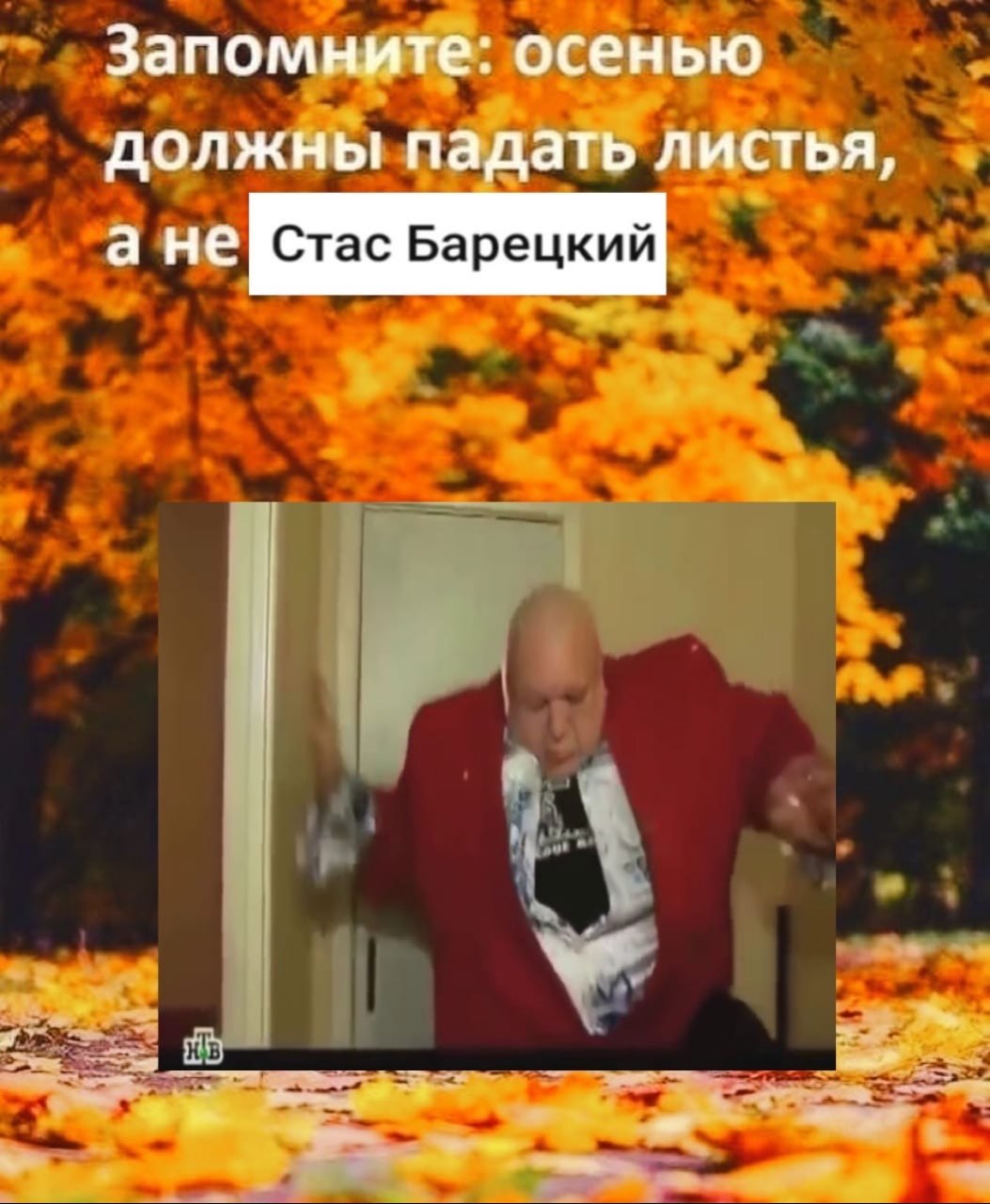 Запомните: осенью должны падать листья, Стас Барецкий