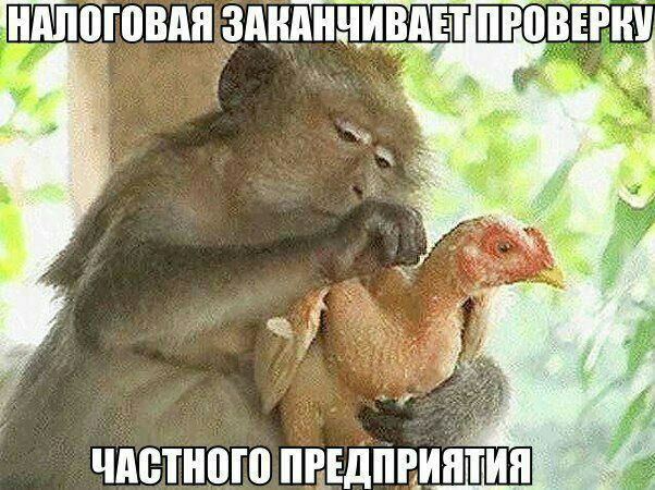 НАЛОГОВАЯ ЗАНАНЧИВАЕТ 4 5. a» ЧАСТНОГО ПРЕДПРИЯТИЯ