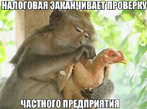 НАЛОГОВАЯ ЗАНАНЧИВАЕТ 4 5. a» ЧАСТНОГО ПРЕДПРИЯТИЯ