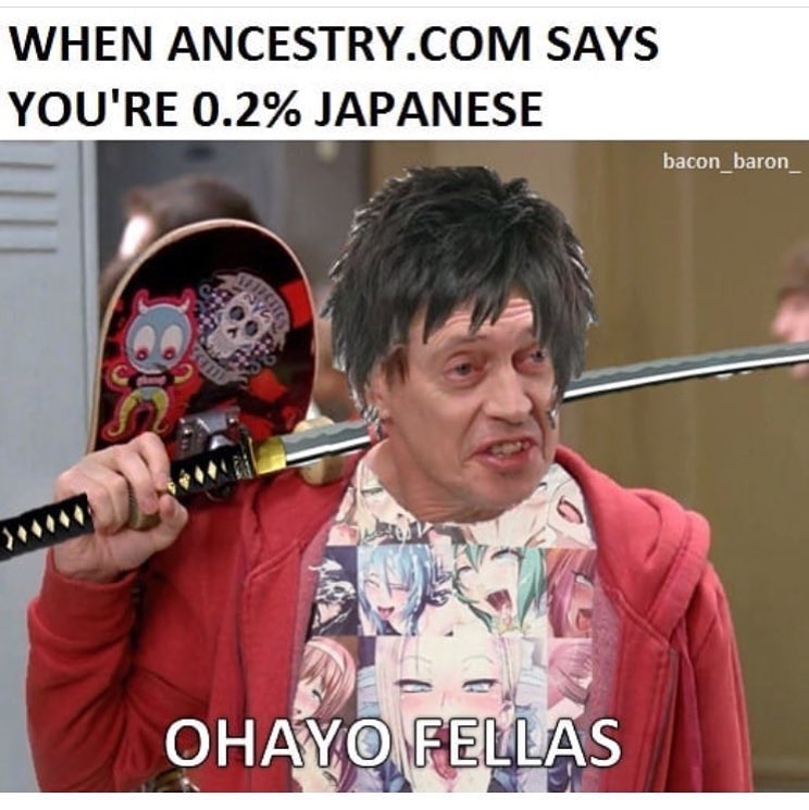 WHEN ANCESTRY.COM SAYS YOU'RE 0.2% JAPANESE