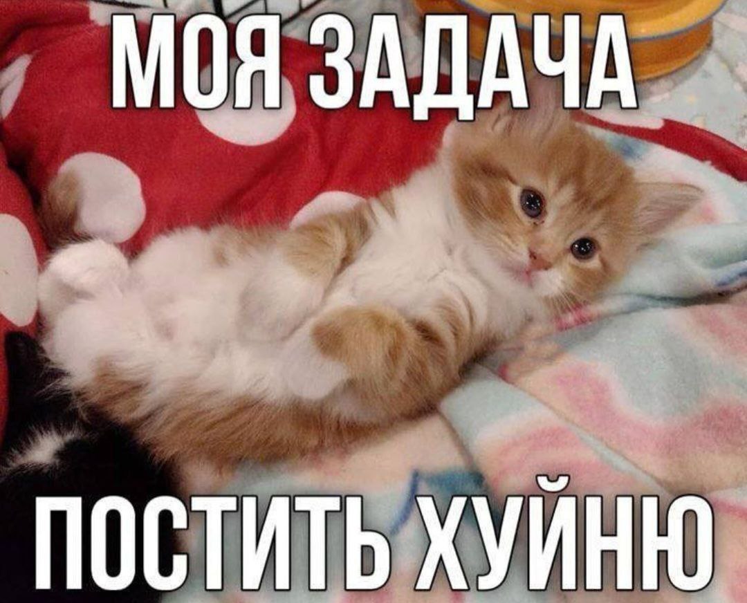 МОЯ ЗАДАЧА. ПОСТИТЬ ХУЙНЮ