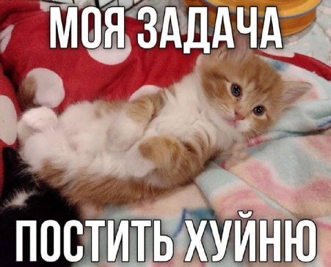 МОЯ ЗАДАЧА. ПОСТИТЬ ХУЙНЮ