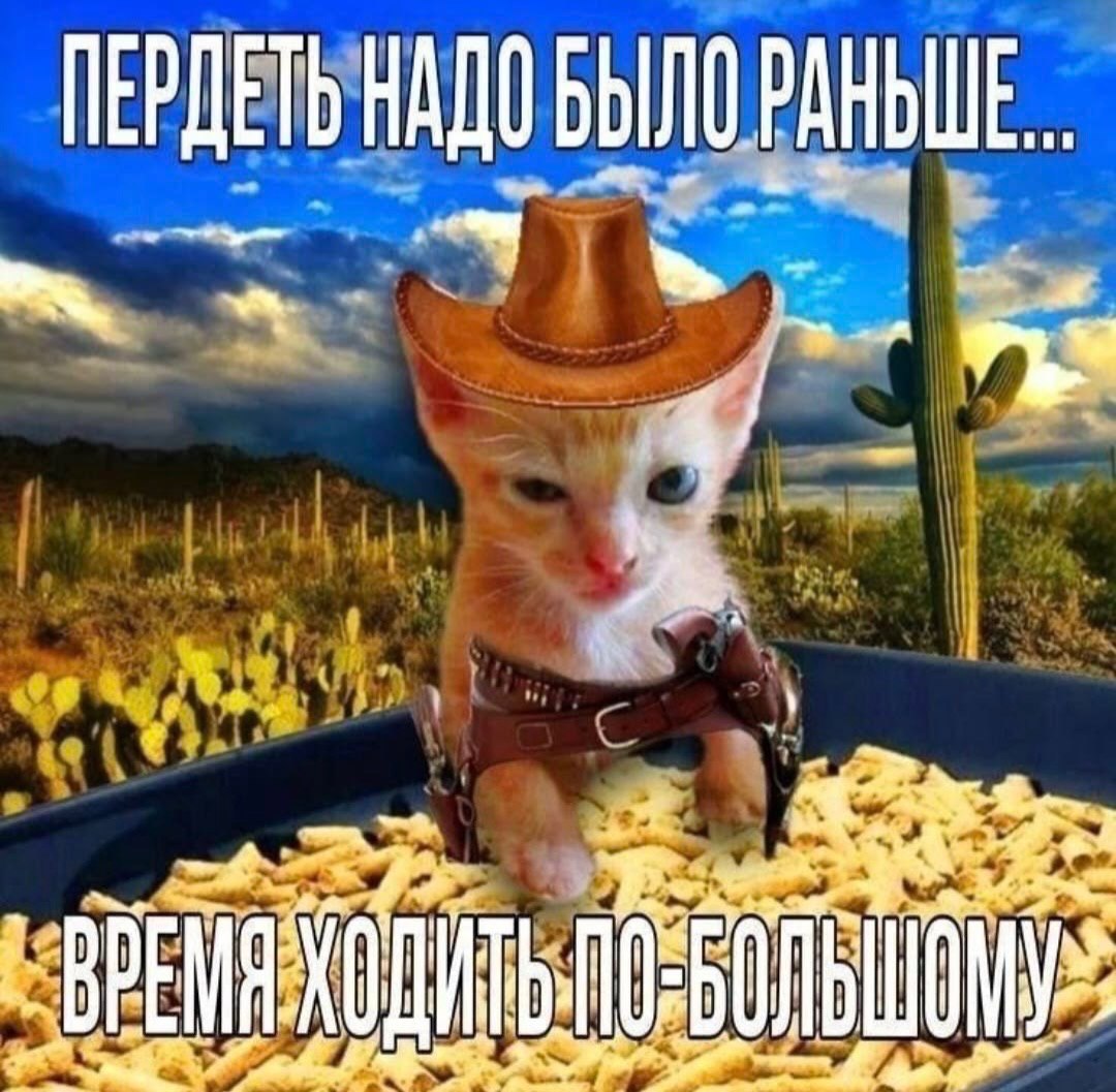 ПЕРДЕТЬ НАДО БЫЛО РАНЬШЕ.