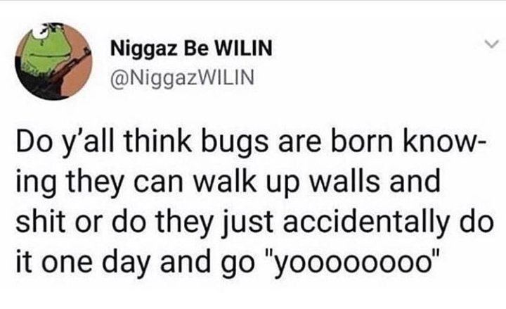 he Niggaz Be WILIN @NiggazWILIN yall think bugs are born know- ing they can walk up walls and shit or they just accidentally it one day and