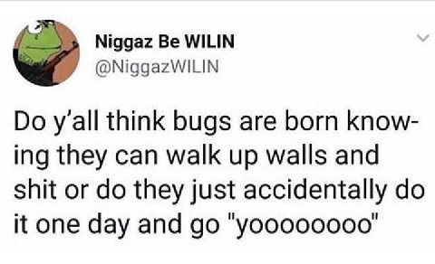 he Niggaz Be WILIN @NiggazWILIN yall think bugs are born know- ing they can walk up walls and shit or they just accidentally it one day and