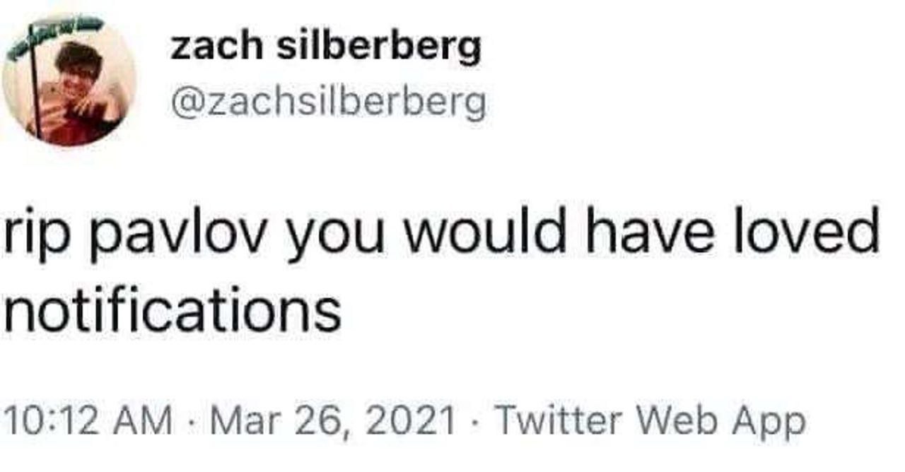 zach silberberg @zachsilberberg рамоу you would have loved notifications 10:12 Mar 26, 2021 Twitter Web App